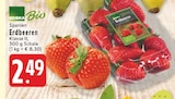 Erdbeeren bei EDEKA im Höhn Prospekt für 2,49 €