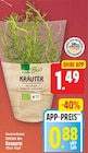 Rosmarin von EDEKA Bio für 0,88 € bei E center im Angebot Rosmarin von EDEKA Bio im aktuellen E center Prospekt