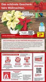 Weihnachten im toom Baumarkt Prospekt in Villingen-Schwenningen Aktueller toom Baumarkt Prospekt mit Weihnachten, "Respekt, wer's selber macht.", Seite 2