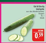 Marktkauf Hof - Salatgurke Angebot im Prospekt Salatgurke bei Marktkauf im Hof Prospekt für 0,59 €