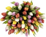 Aktuelles Tulpen Rainbow Angebot bei REWE in Hildesheim ab 6,99 €