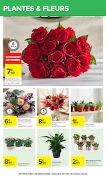 Prix et réduction Fleurs d'extérieur dans le prospectus Carrefour en cours Offre Fleurs d'extérieur dans le catalogue Carrefour du moment à la page 55