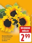 Sonnenblumen im aktuellen E center Prospekt