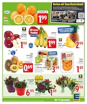 Blumen im EDEKA Prospekt in Kaufbeuren Aktueller EDEKA Prospekt mit Blumen, "Wir lieben Lebensmittel.", Seite 3