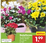 Angebot im Netto Marken-Discount Hessisch Oldendorf Prospekt Netto Marken-Discount Hessisch Oldendorf Prospekt mit im Angebot fĂŒr 1,99 âŹ