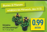 Glücksklee mit Schornsteinfeger bei diska im Marktsteft Prospekt für 0,99 €