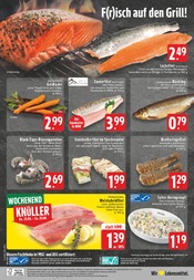 Aktueller E center Prospekt mit Hering, "Aktuelle Angebote", Seite 24