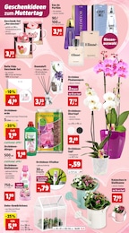 Tasse Angebot & Preis im aktuellen Thomas Philipps Prospekt Tasse Angebot im aktuellen Thomas Philipps Prospekt auf Seite 9