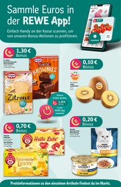 Teekanne im REWE Prospekt in Kiel Aktueller REWE Prospekt mit Teekanne, "Dein Markt", Seite 2