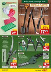 Handschuhe im Netto Marken-Discount Prospekt in Pirna Aktueller Netto Marken-Discount Prospekt mit Handschuhe, "Aktuelle Angebote", Seite 49
