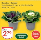 Angebot im GLOBUS Braunschweig Prospekt GLOBUS Braunschweig Prospekt mit im Angebot fĂŒr 2,79 âŹ
