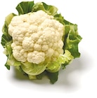 Blumenkohl für 1,99 € bei Netto mit dem Scottie im Angebot Blumenkohl im aktuellen Netto mit dem Scottie Prospekt