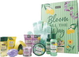 Promo LE COFFRET CADEAU 11 PIÈCES BLOOM OF THE WAY à 12,99 € dans le catalogue Stokomani à Marmoutier