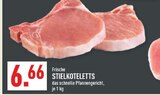 Aktuelles Frische Stielkoteletts Angebot bei Marktkauf in Remscheid ab 6,66 €