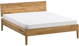 Aktuelles Bett Angebot bei XXXLutz Möbelhäuser in München ab 249,00 €