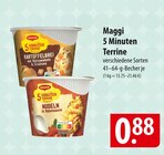 Maggi 5 Minuten Terrine Angebote bei famila Nordost Celle für 0,88 €