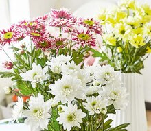 Schnittblumen bei ALDI SÜD in Augsburg Schnittblumen im Angebot bei ALDI SÜD Augsburg für 1,69 €