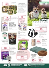 Promos Corbeille Chien dans le catalogue "J'AIME MON JARDIN D'AUTOMNE" de Truffaut à la page 7