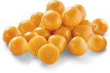 Physalis ohne Lampion für 1,79 € bei Netto Marken-Discount im Angebot Physalis ohne Lampion im aktuellen Netto Marken-Discount Prospekt