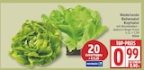 Ballensalat Kopfsalat im aktuellen EDEKA Prospekt