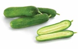 Gurken im Dehner Garten-Center Prospekt Snackgurke im aktuellen Dehner Garten-Center Prospekt für 3,79 €