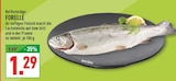 Forelle im Angebot bei Marktkauf in Unna Forelle Angebote bei Marktkauf Unna für 1,29 €