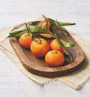 Clementine de Corse IGP en promo chez Super U Clementine de Corse IGP dans le catalogue Super U