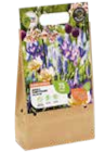 Blumenzwiebel-Kollektion Angebote von GROW by OBI bei OBI Worms für 9,99 €