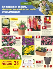 Plantes Angebote im Prospekt "RETOUR AU VERT" von LaMaison.fr auf Seite 2