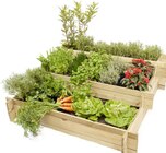 Promo Carré potager lipsi en pin à 39,90 € dans le catalogue Tout Faire à Orléans