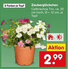 Zauberglöckchen  im aktuellen Netto Marken-Discount Prospekt für 2,99 €