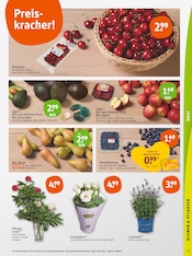Aktueller tegut Prospekt mit Äpfel, "tegut… gute Lebensmittel", Seite 5