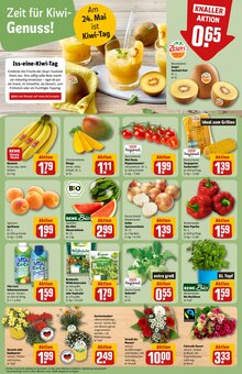 Geranien im REWE Prospekt "Dein Markt" mit 32 Seiten (Bergisch Gladbach)