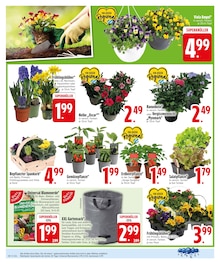 Gartenerde im EDEKA Prospekt "Wir lieben Lebensmittel." mit 28 Seiten (München)