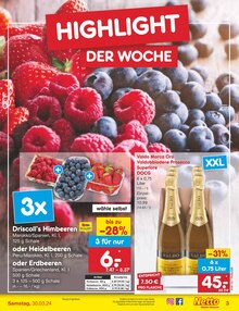Sekt im Netto Marken-Discount Prospekt "Aktuelle Angebote" mit 56 Seiten (Ingolstadt)