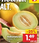 Netto Marken-Discount Meldorf - Galiamelonen Angebot im Prospekt Galiamelonen bei Netto Marken-Discount im Meldorf Prospekt für 1,49 €