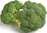 Broccoli Angebote bei Netto mit dem Scottie Rostock für 1,11 €