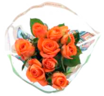 Aktuelle Blumen Angebote bei EDEKA in Hamburg Aktuelles Edelrosen oder Kalanchoe Angebot bei EDEKA in Hamburg ab 2,99 €