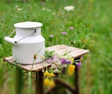 Bio Almbutter Angebote von Andechser Natur bei REWE Memmingen für 2,99 €