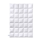 billerbeck silber Daunendecke Dina 90 Mono weiß Angebote bei Möbel Martin Ludwigshafen für 189,00 €