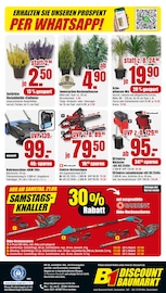 Ähnliche Angebote wie Palme im Prospekt "BESTPREISE DER WOCHE!" auf Seite 8 von B1 Discount Baumarkt in Dülmen