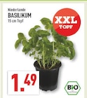 Marktkauf Horn-Bad Meinberg - Basilikum Angebot im Prospekt Basilikum bei Marktkauf im Horn-Bad Meinberg Prospekt für 1,49 €