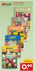 Blumenzwiebel im Angebot bei Netto Marken-Discount in St. Ingbert Blumenzwiebel Angebote bei Netto Marken-Discount St. Ingbert für 0,99 €