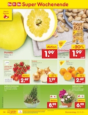 Aktueller Netto Marken-Discount Prospekt mit Nüsse, "Aktuelle Angebote", Seite 42