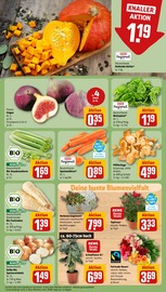 Bio im REWE Prospekt in Hilden Aktueller REWE Prospekt mit Bio, "Dein Markt", Seite 11
