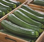 Courgette en promo chez Netto Courgette dans le catalogue Netto