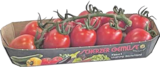 Eiercocktailstrauchtomaten von Scherzer Gemüse im aktuellen V-Markt Prospekt