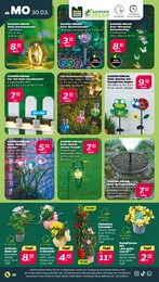 Solarlampe Angebot im aktuellen Netto mit dem Scottie Prospekt auf Seite 26