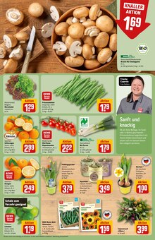 Schweinefleisch im aktuellen REWE Prospekt (Jena) Schweinefleisch im REWE Prospekt "Dein Markt" mit 32 Seiten (Jena)