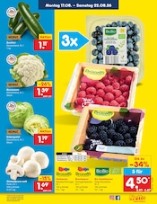 Zucchini im Netto Marken-Discount Prospekt in Rostock Aktueller Netto Marken-Discount Prospekt mit Zucchini, "Aktuelle Angebote", Seite 11